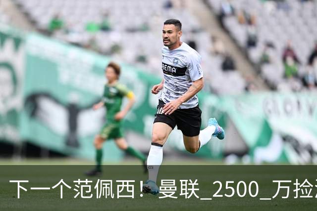 下一个范佩西！曼联 2500 万捡漏顶级锋霸，碾压 7000 万新援