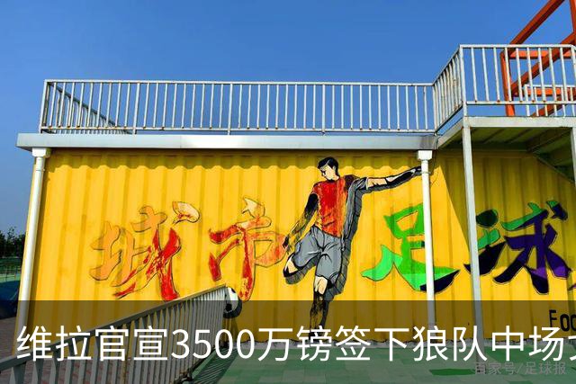 维拉官宣3500万镑签下狼队中场戈麦斯 合同为期五年