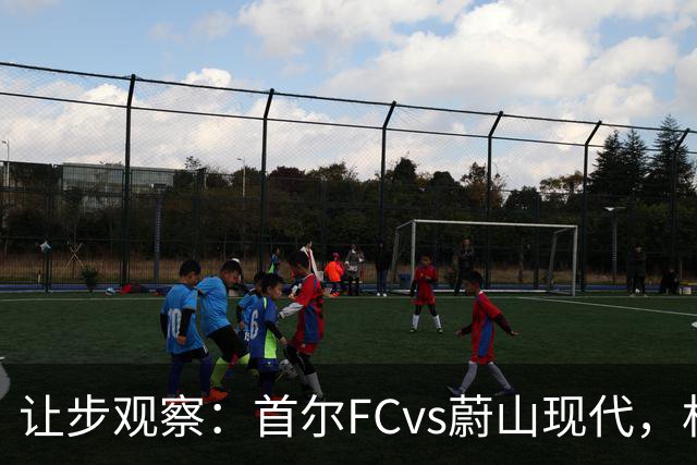 让步观察：首尔FCvs蔚山现代，机构2.5泊松分布只看2/2.5